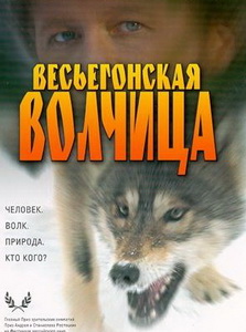 Весьегонская волчица